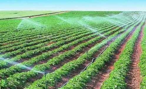 国产啪啪内插农田高 效节水灌溉